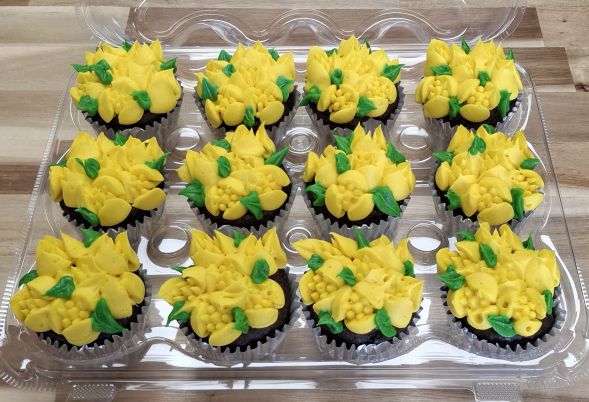 Russian Tip Daffodils